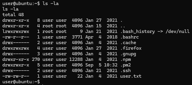 Terminal showing access to the user account and user flag location